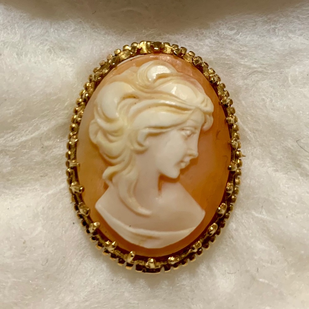 Cameo brooch/pin - can convert to necklace pendant